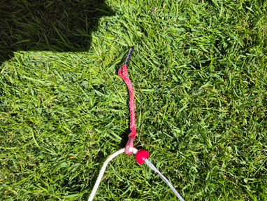 Reedin Supermodel V5 9qm aus 2025 Bild nr. 6