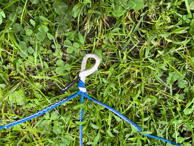 Slingshot SST 5qm aus 2019 Bild nr. 6