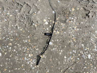 Airush Freeride, Freestyle, Wave 12qm aus 2016 Bild nr. 11