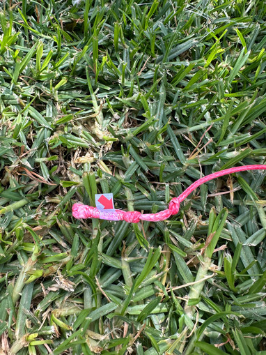 Core XR 6qm aus 2024 Bild nr. 6