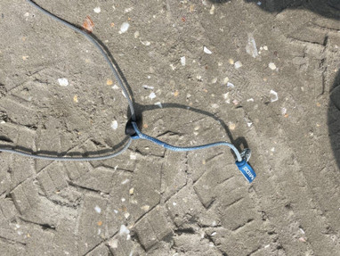 Airush Freeride, Freestyle, Wave 12qm aus 2016 Bild nr. 9