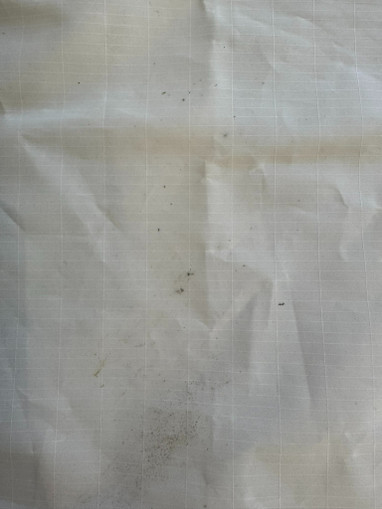 Core Nexus 12qm aus 2020 Bild nr. 9