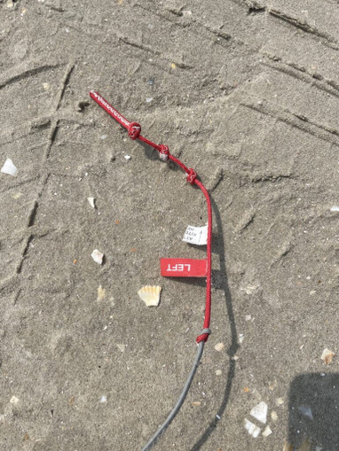 Airush Freeride, Freestyle, Wave 12qm aus 2016 Bild nr. 8