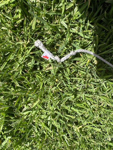 Core XR 6qm aus 2024 Bild nr. 7